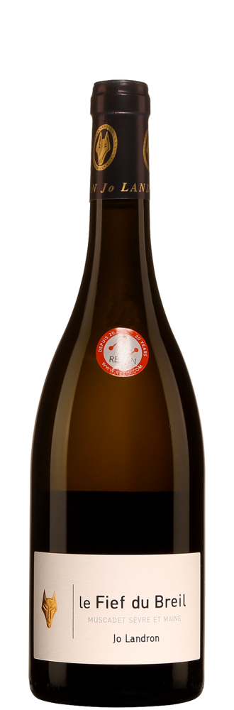 Muscadet S vre et Maine Le Fief du Breil r Zin